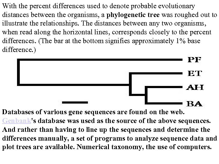 With the percent differences used to denote probable evolutionary distances between the organisms, a