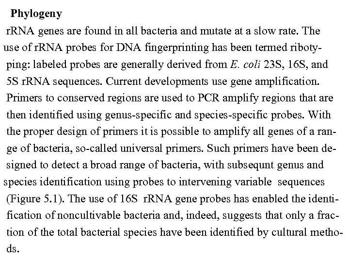  Phylogeny r. RNA genes are found in all bacteria and mutate at a