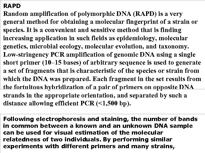 RAPD Random amplification of polymorphic DNA (RAPD) is a very general method for obtaining