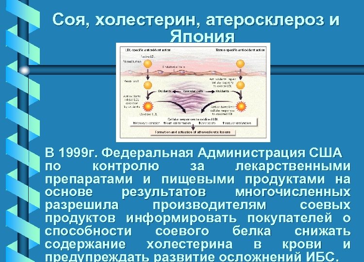 Соя, холестерин, атеросклероз и Япония В 1999 г. Федеральная Администрация США по контролю за