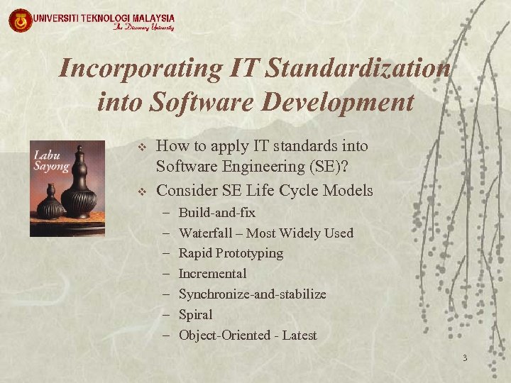 Incorporating IT Standardization into Software Development v v How to apply IT standards into