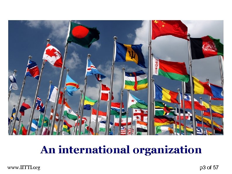An international organization www. IITTI. org p 3 of 57 