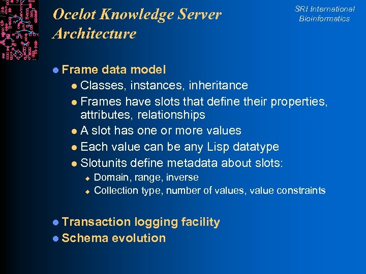 Ocelot Knowledge Server Architecture SRI International Bioinformatics l Frame data model l Classes, instances,