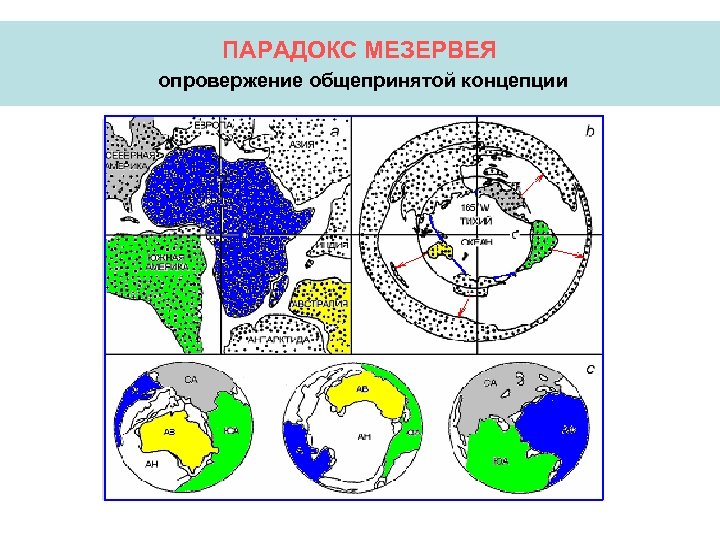 ПАРАДОКС МЕЗЕРВЕЯ опровержение общепринятой концепции 