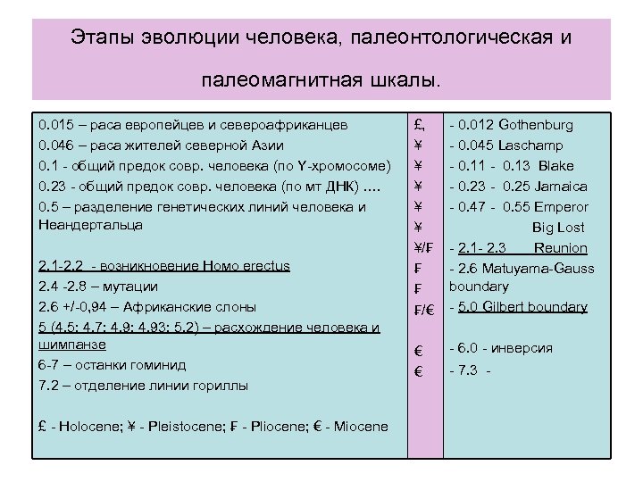 Этапы эволюции человека, палеонтологическая и палеомагнитная шкалы. 0. 015 – раса европейцев и североафриканцев