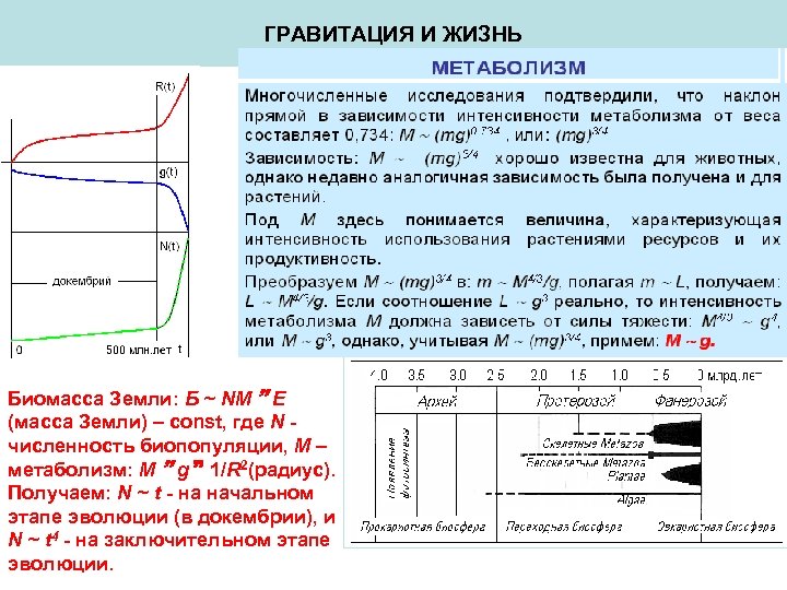 ГРАВИТАЦИЯ И ЖИЗНЬ Биомасса Земли: Б ~ NM E (масса Земли) – const, где