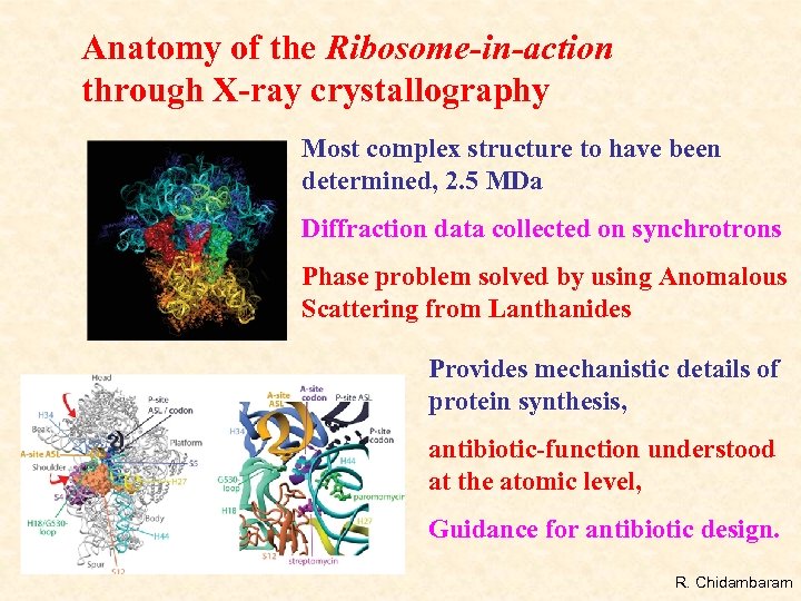 Anatomy of the Ribosome-in-action through X-ray crystallography Most complex structure to have been determined,