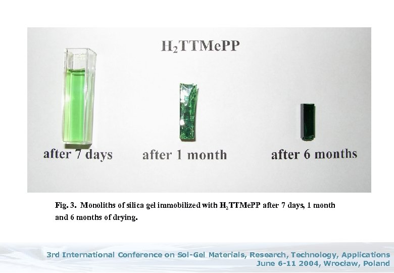 Fig. 3. Monoliths of silica gel immobilized with H 2 TTMe. PP after 7