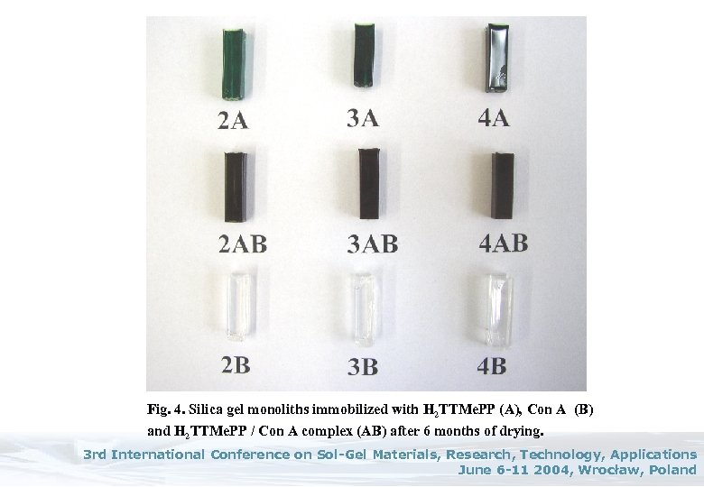 Fig. 4. Silica gel monoliths immobilized with H 2 TTMe. PP (A), Con A