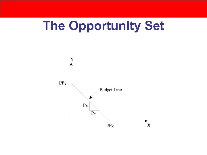 The Opportunity Set 