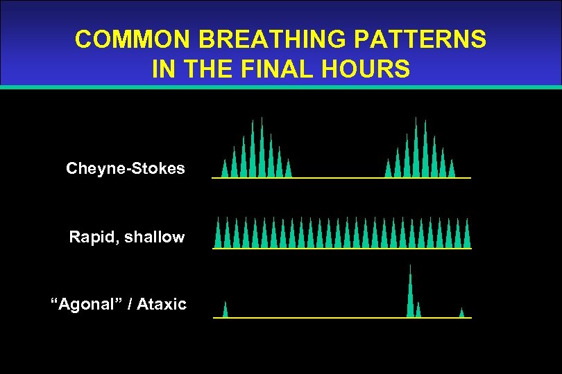 COMMON BREATHING PATTERNS IN THE FINAL HOURS Cheyne-Stokes Rapid, shallow “Agonal” / Ataxic 