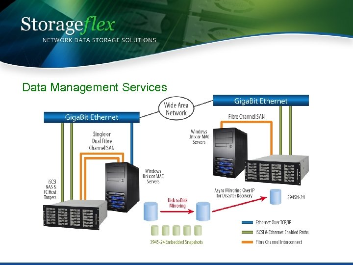 Data Management Services 