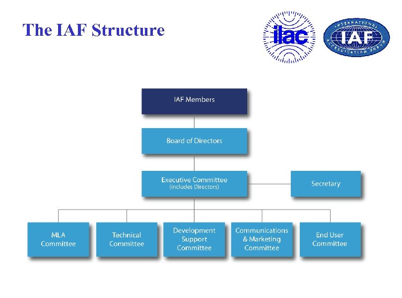 The IAF Structure 