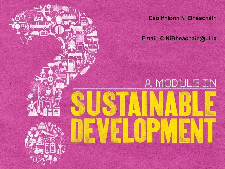 Caoilfhionn Ní Bheacháin Email: C. Ni. Bheachain@ul. ie 