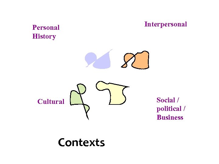 Personal History Cultural Contexts Interpersonal Social / political / Business 