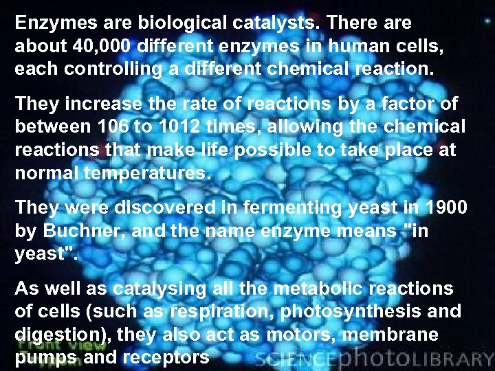 Enzymes are biological catalysts. There about 40, 000 different enzymes in human cells, each