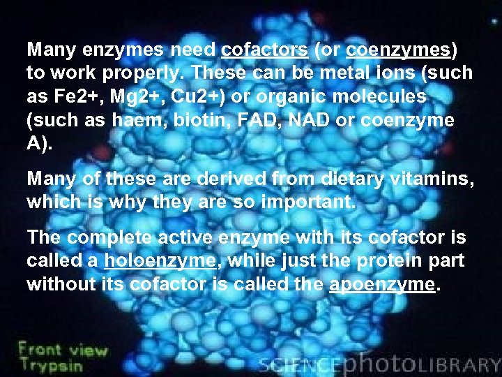 Many enzymes need cofactors (or coenzymes) to work properly. These can be metal ions