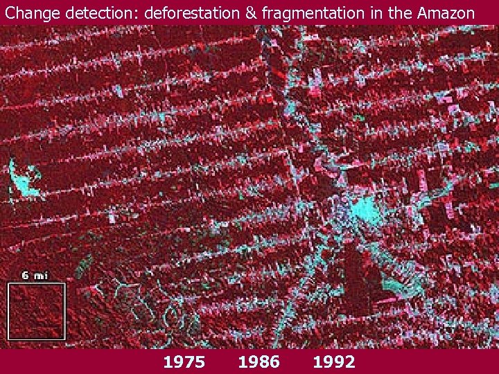 Change detection: deforestation & fragmentation in the Amazon 1975 1986 1992 