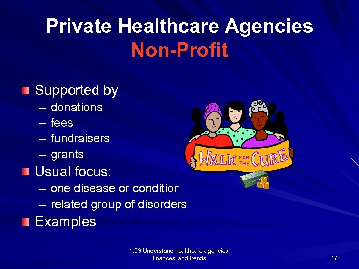 Private Healthcare Agencies Non-Profit Supported by – – donations fees fundraisers grants Usual focus: