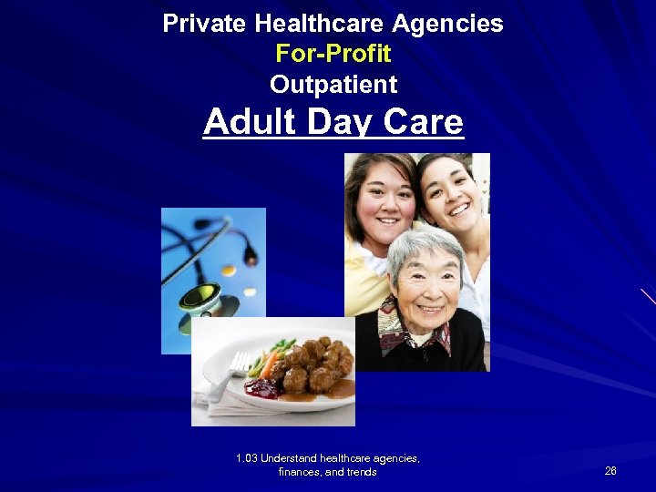 Private Healthcare Agencies For-Profit Outpatient Adult Day Care 1. 03 Understand healthcare agencies, finances,