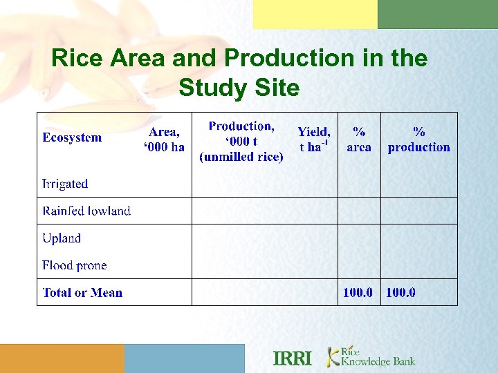 Rice Area and Production in the Study Site 