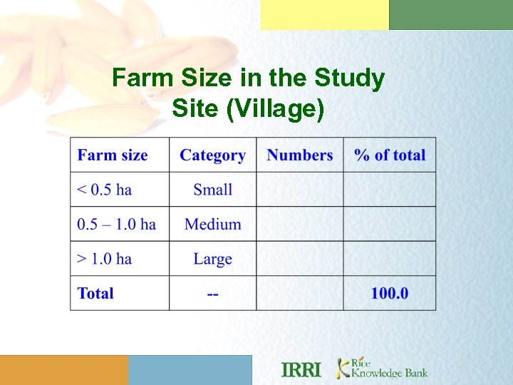 Farm Size in the Study Site (Village) 