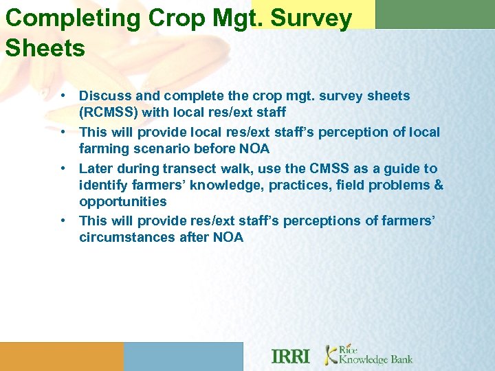 Completing Crop Mgt. Survey Sheets • Discuss and complete the crop mgt. survey sheets