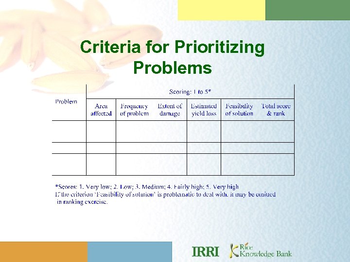 Criteria for Prioritizing Problems 