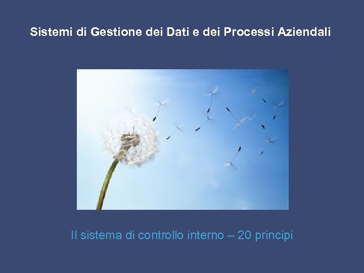 Sistemi di Gestione dei Dati e dei Processi Aziendali Il sistema di controllo interno