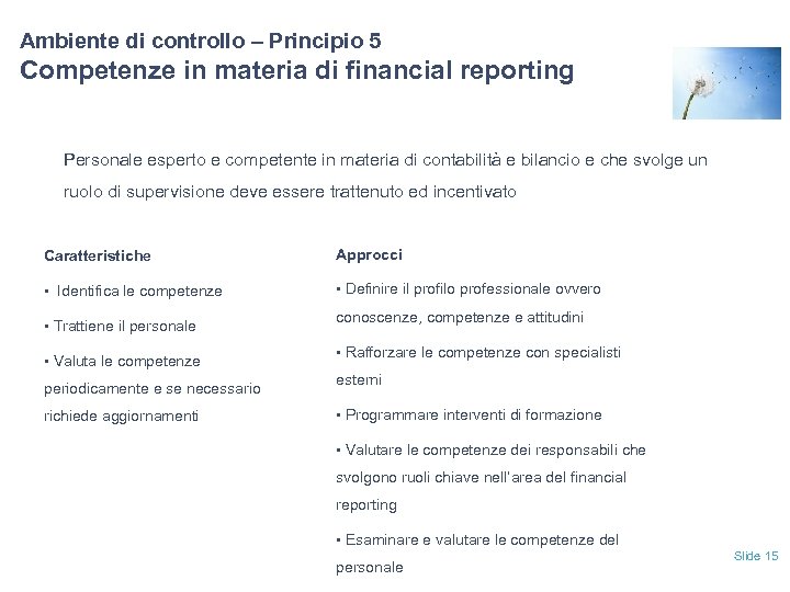 Ambiente di controllo – Principio 5 Competenze in materia di financial reporting Personale esperto
