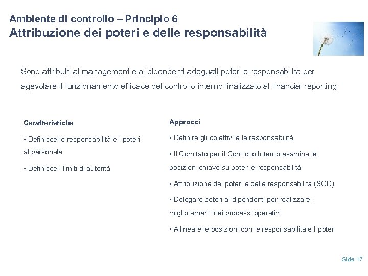 Ambiente di controllo – Principio 6 Attribuzione dei poteri e delle responsabilità Sono attribuiti