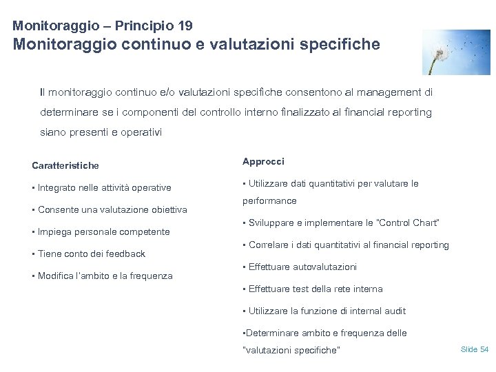 Monitoraggio – Principio 19 Monitoraggio continuo e valutazioni specifiche Il monitoraggio continuo e/o valutazioni