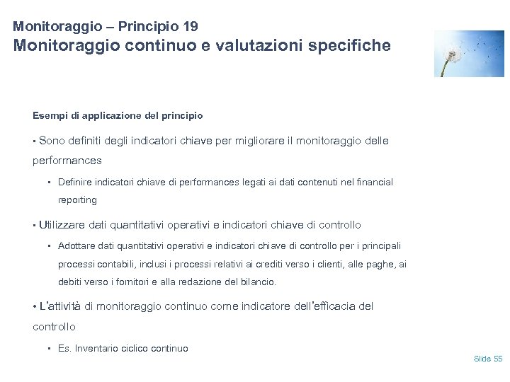 Monitoraggio – Principio 19 Monitoraggio continuo e valutazioni specifiche Esempi di applicazione del principio