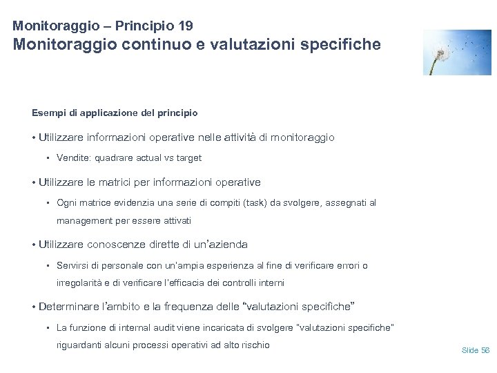Monitoraggio – Principio 19 Monitoraggio continuo e valutazioni specifiche Esempi di applicazione del principio
