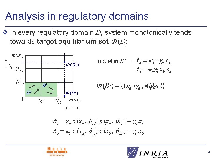 Analysis in regulatory domains v In every regulatory domain D, system monotonically tends towards