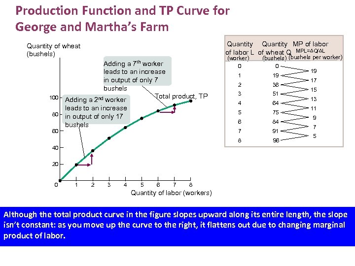 Production Function and TP Curve for George and Martha’s Farm Quantity MP of labor