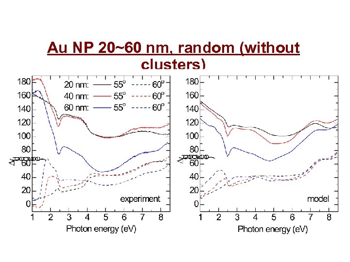 Au NP 20~60 nm, random (without clusters) 