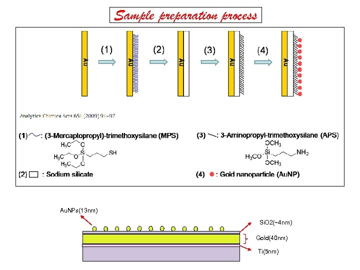 Sample preparation process Au. NPs(13 nm) Si. O 2(~4 nm) Gold(40 nm) Ti(5 nm)
