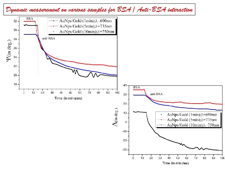 Dynamic measurement on various samples for BSA / Anti-BSA interaction 