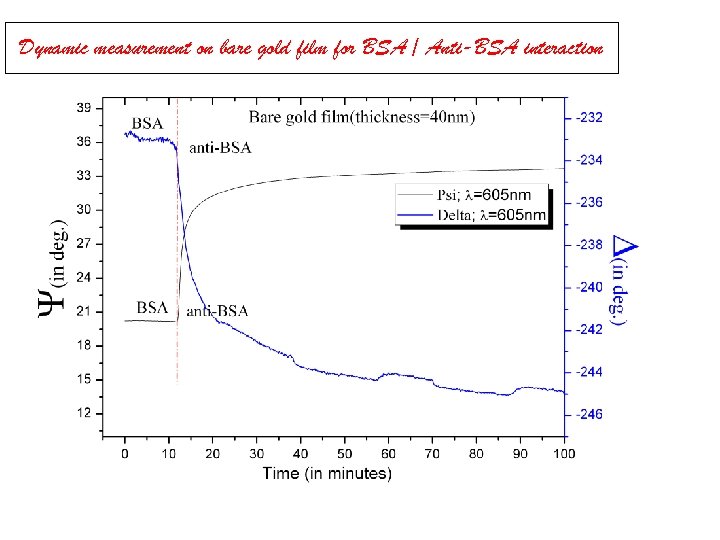 Dynamic measurement on bare gold film for BSA / Anti-BSA interaction 
