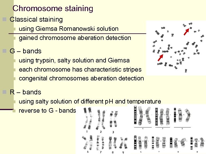 Chromosome staining n Classical staining n using Giemsa Romanowski solution n gained chromosome aberation