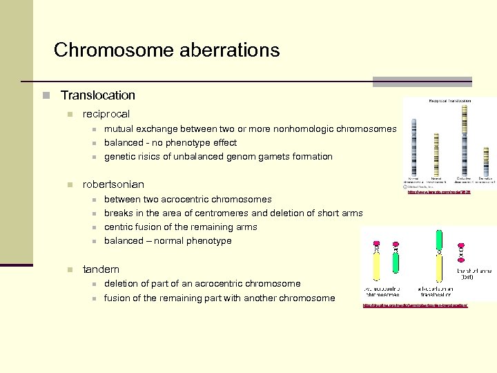 Chromosome aberrations n Translocation n reciprocal n n robertsonian n n mutual exchange between