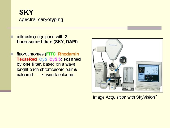 SKY spectral caryotyping n mikroskop equipped with 2 fluorescent filters (SKY, DAPI) n fluorochromes
