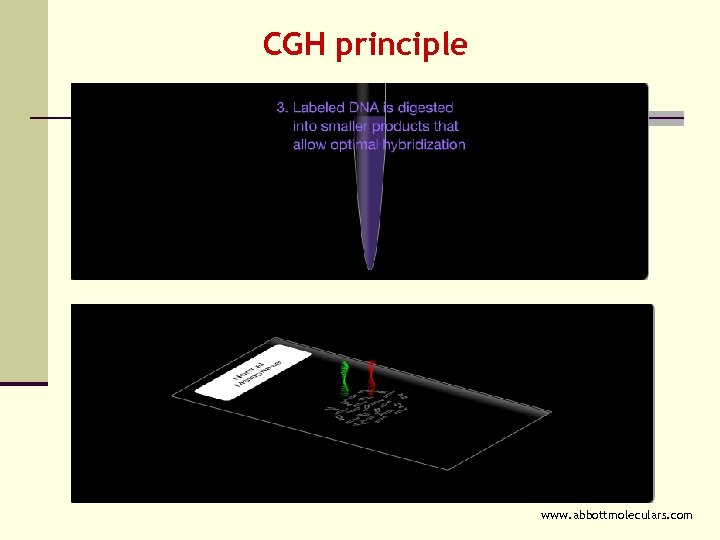 CGH principle www. abbottmoleculars. com 