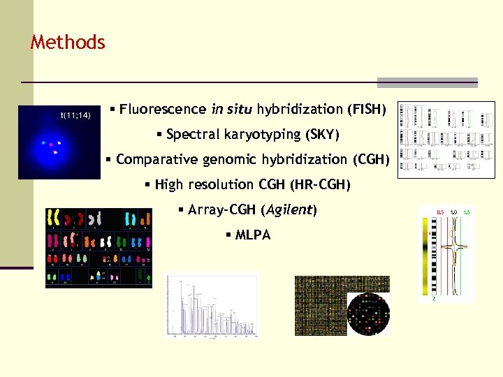 Methods § Fluorescence in situ hybridization (FISH) § Spectral karyotyping (SKY) § Comparative genomic