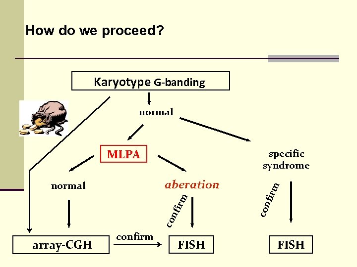 How do we proceed? Karyotype G-banding normal MLPA rm nfi co con aberation normal