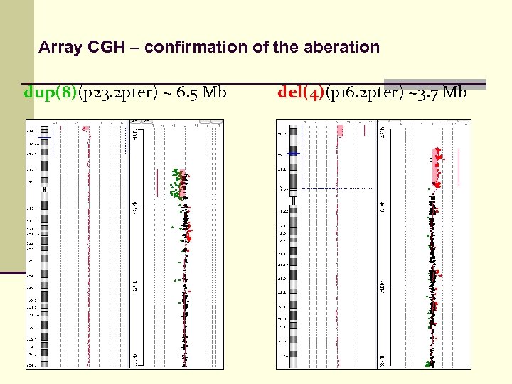 Array CGH – confirmation of the aberation dup(8)(p 23. 2 pter) ~ 6. 5