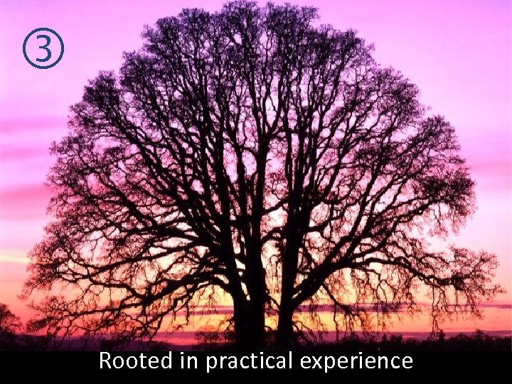 Rooted in practical experience 