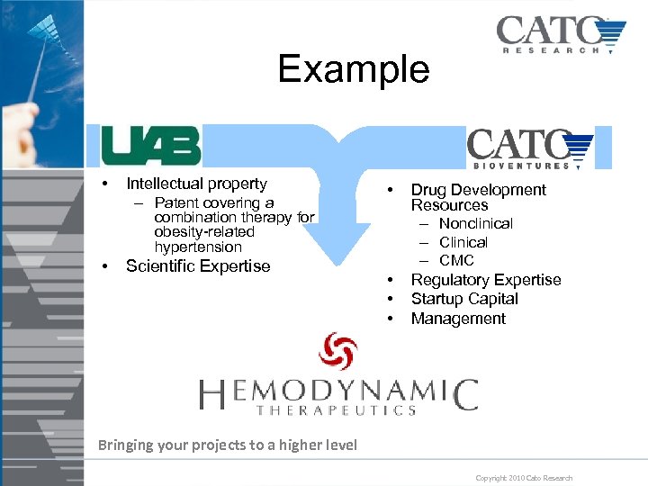 Example • Intellectual property – Patent covering a • combination therapy for obesity-related hypertension