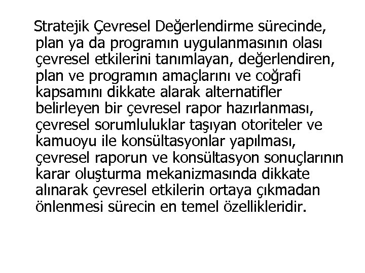 Stratejik Çevresel Değerlendirme sürecinde, plan ya da programın uygulanmasının olası çevresel etkilerini tanımlayan, değerlendiren,
